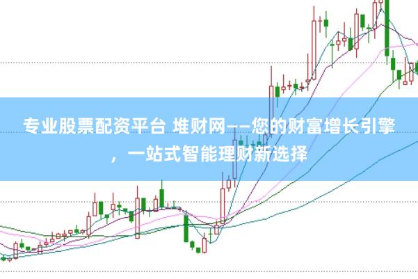 专业股票配资平台 堆财网——您的财富增长引擎，一站式智能理财新选择