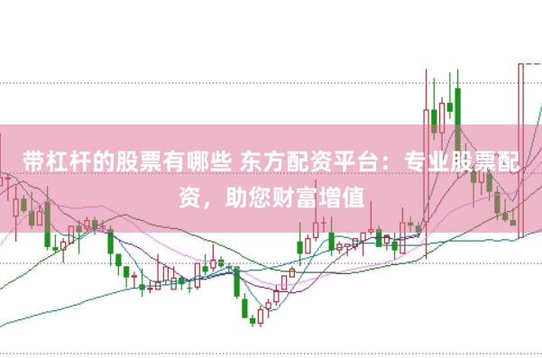 带杠杆的股票有哪些 东方配资平台：专业股票配资，助您财富增值