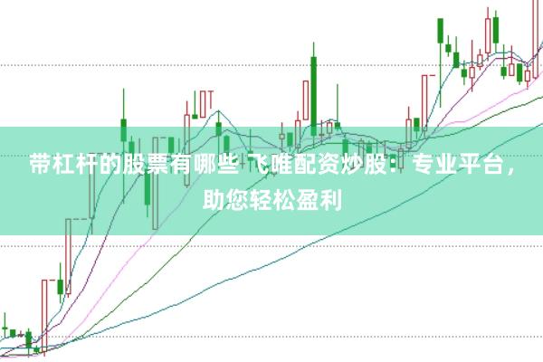 带杠杆的股票有哪些 飞唯配资炒股：专业平台，助您轻松盈利