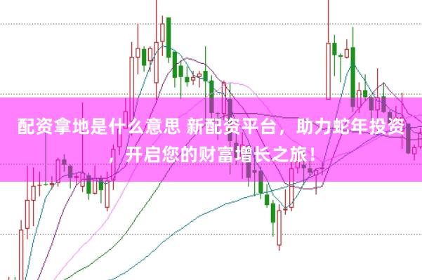 配资拿地是什么意思 新配资平台，助力蛇年投资，开启您的财富增长之旅！
