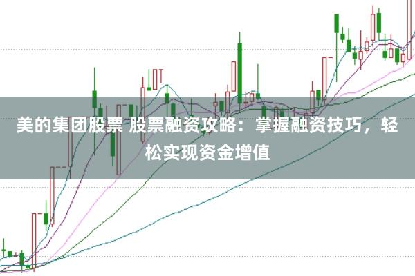 美的集团股票 股票融资攻略：掌握融资技巧，轻松实现资金增值