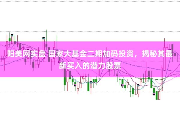 阳美网实盘 国家大基金二期加码投资，揭秘其最新买入的潜力股票