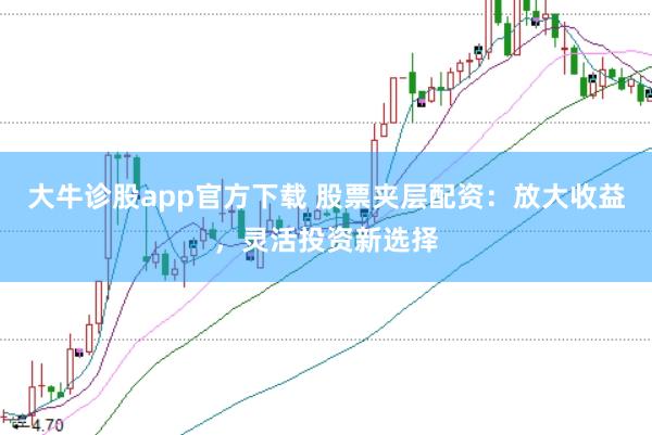 大牛诊股app官方下载 股票夹层配资：放大收益，灵活投资新选择