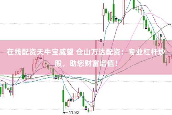 在线配资天牛宝威望 仓山万达配资：专业杠杆炒股，助您财富增值！