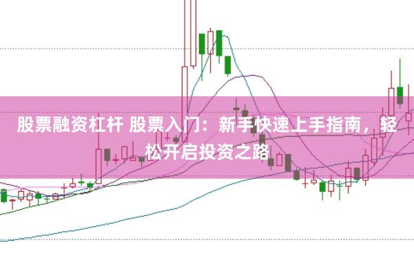 股票融资杠杆 股票入门：新手快速上手指南，轻松开启投资之路