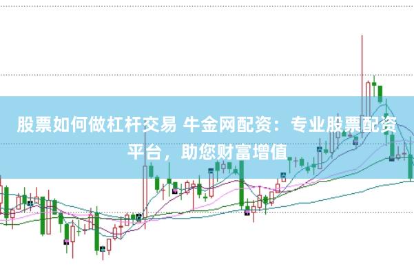 股票如何做杠杆交易 牛金网配资：专业股票配资平台，助您财富增值