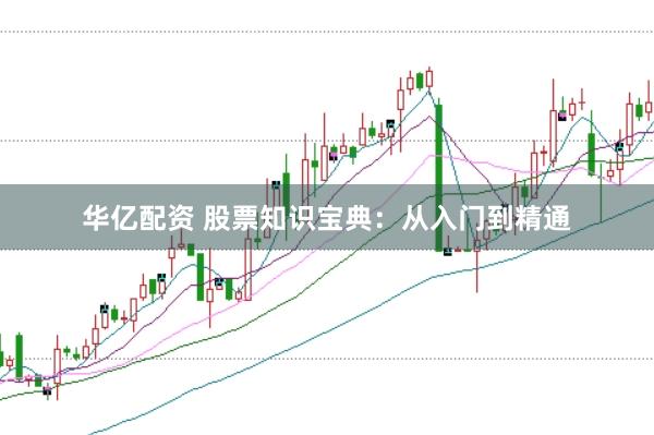 华亿配资 股票知识宝典:从入门到精通