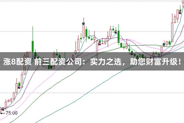涨8配资 前三配资公司:实力之选,助您财富升级!