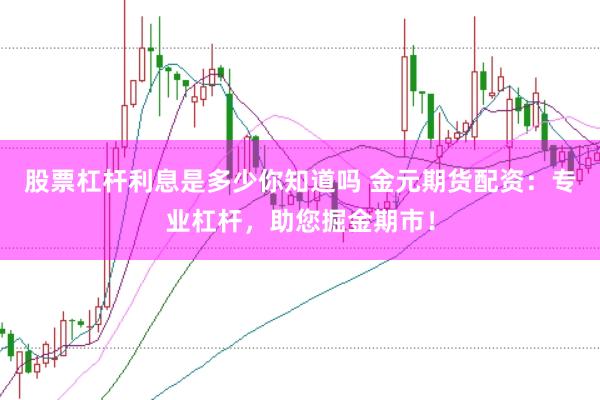 股票杠杆利息是多少你知道吗 金元期货配资:专业杠杆,助您掘金期市!