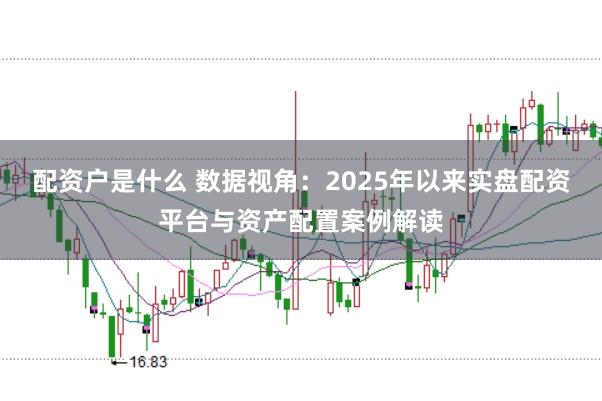 配资户是什么 数据视角:2025年以来实盘配资平台与资产配置案例解读