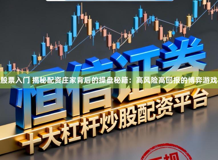 股票入门 揭秘配资庄家背后的操盘秘籍：高风险高回报的博弈游戏